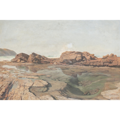 315 - Cecil Thornley Stewart (South African 1881 - 1967) TIDE POOLS