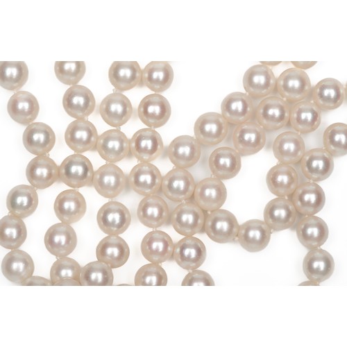 182 - A STRAND OF OPERA LENGTH CULTURED PEARLS