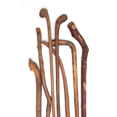 1354 - SEVEN WALKING STICKS