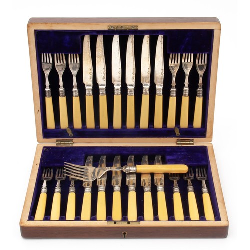 1103 - A CASED SET OF ELECTROPLATE AND BONE FISH KNIVES AND FORKS