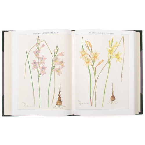 16 - GLADIOLUS IN SOUTHERN AFRICA (COLLECTOR