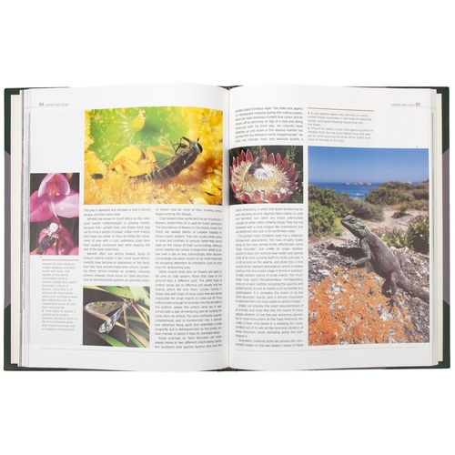 19 - TABLE MOUNTAIN: A NATURAL HISTORY (COLLECTORS EDITION, NUMBERED AND SIGNED), Pauw, Anton: Johnson, S... 