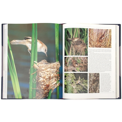 21 - NESTING BIRDS: THE BREEDING HABITS OF SOUTH AFRICAN BIRDS (COLLECTORS EDITION, NUMBERED) by Peter St... 