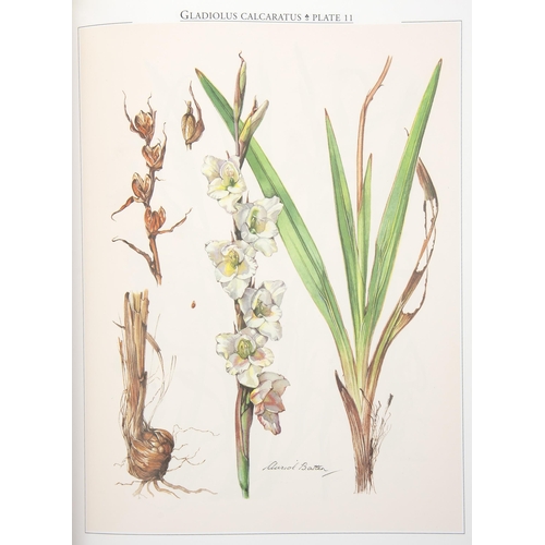 16 - GLADIOLUS IN SOUTHERN AFRICA (COLLECTOR