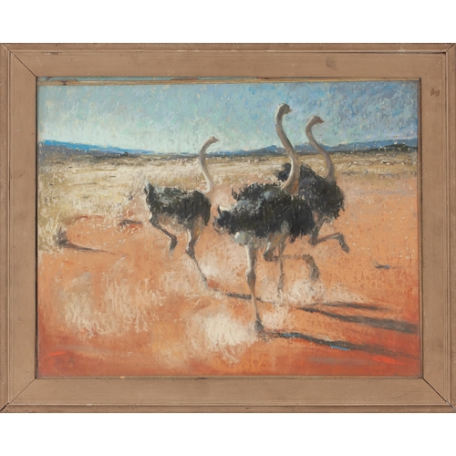 579 - D. Humphries (*** 20th Century) OSTRICHES