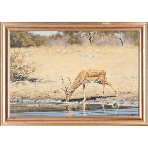 582 - Jeff Dix (South African 20th Century) IMPALA DRINKING