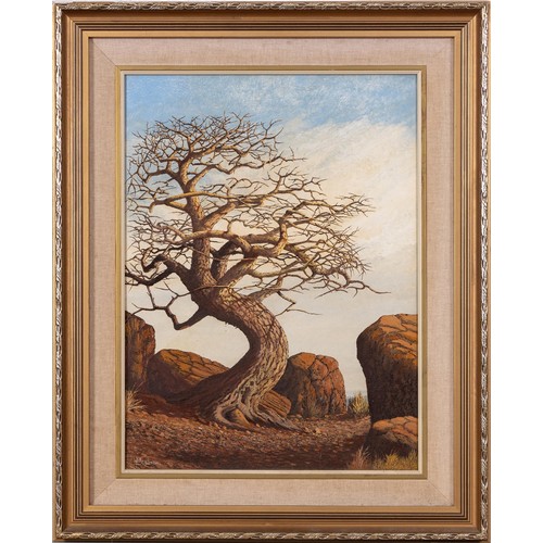 594 - K. Moolman (South African 20th Century) THORN TREE