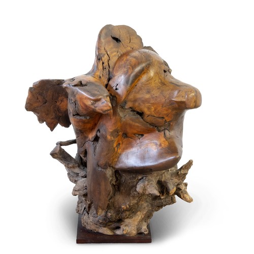 Lot 638       