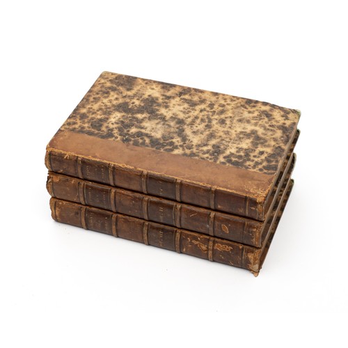 Lot 31        