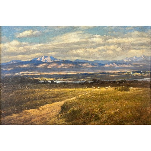 Lot 651       