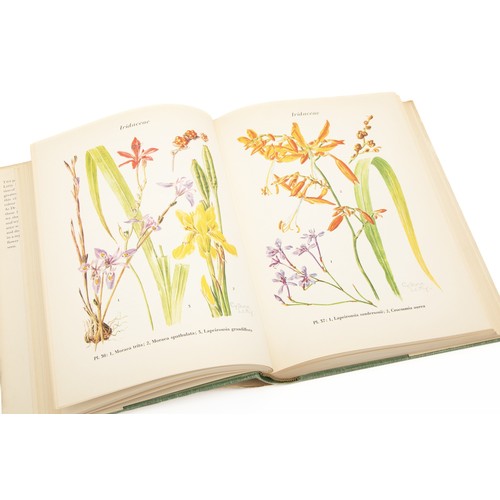 THE WILD FLOWERS OF THE TRANSVAAL (STANDARD EDITION) by Cythna Letty