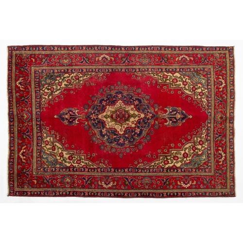 Lot 20        