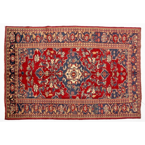 Lot 24        