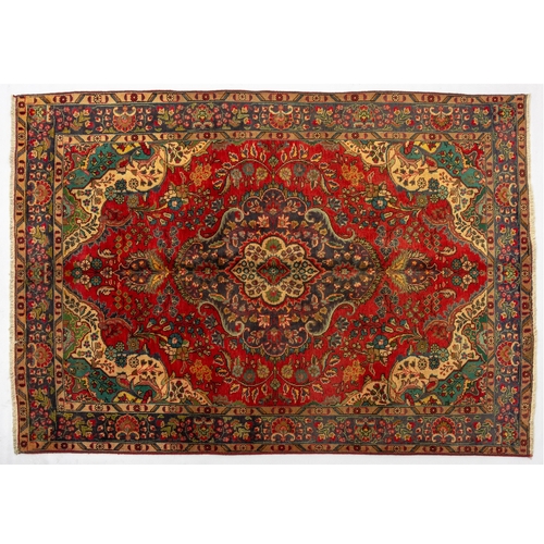 Lot 26        