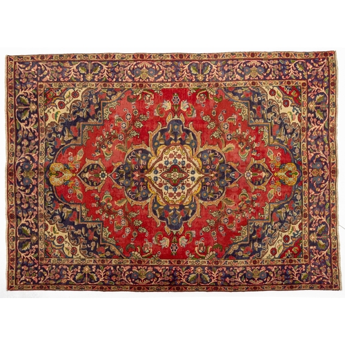 Lot 28        
