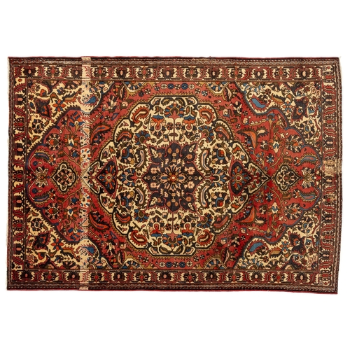 Lot 29        