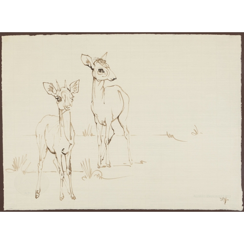 Lot 196       