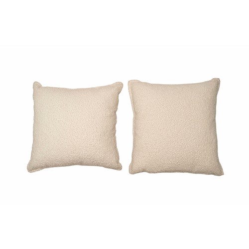 1255 - A PAIR OF SCATTER CUSHIONS
