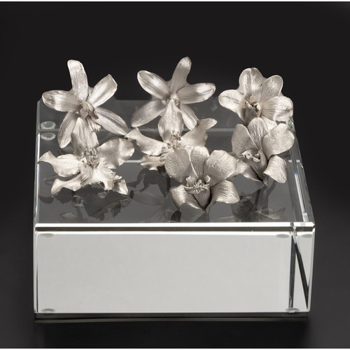 Nic Bladen (South African 1974-) COMPENDIUM: ANSELLIA AFRICANA, DENDROBIUM, ONCIDIUM