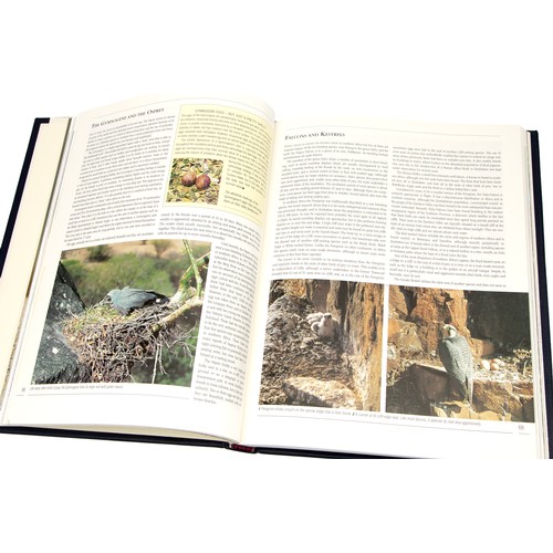 10 - NESTING BIRDS: THE BREEDING HABITS OF SOUTH AFRICAN BIRDS (SPONSORS EDITION; SIGNED BY THE AUTHOR ) ... 