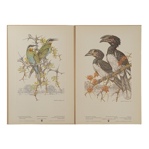 13 - A PORTFOLIO OF SOUTH AFRICAN BIRDS by Dick Findlay