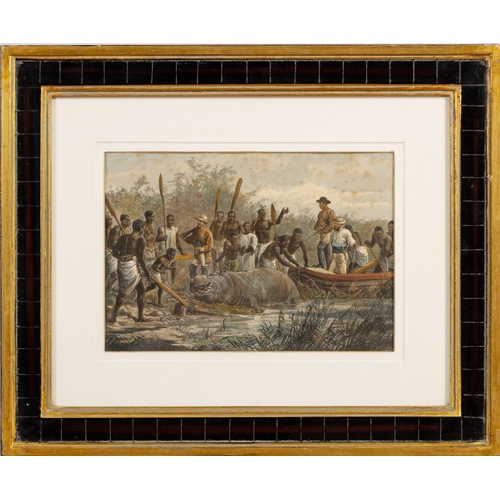 21 - HIPPOPOTAMUS HUNTING IN ANGOLA