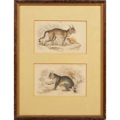 25 - FRAMED PRINT OF 