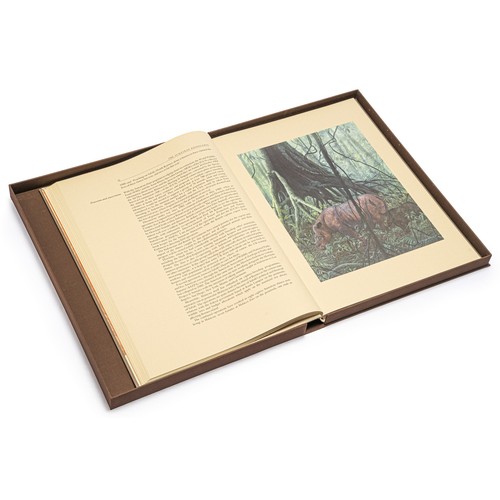 7 - THE RHINOCEROS: A MONOGRAPH by Francesco Nardelli and Mathew Hillier