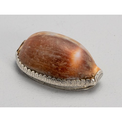 A CAPE SILVER-MOUNTED COWRIE SHELL SNUFF BOX, MARTHINUS LOURENS SMITH