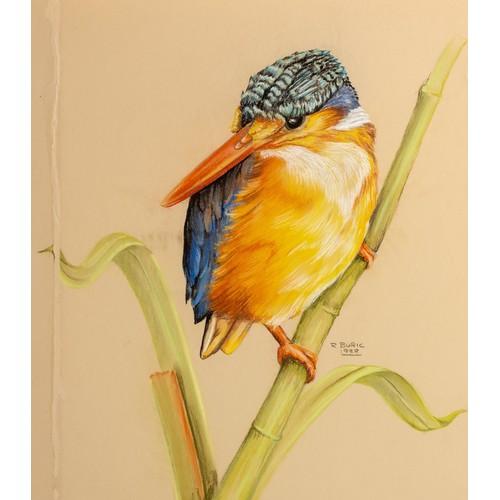26 - Rose Buric (South African 20th Century) MALACHITE KINGFISHER