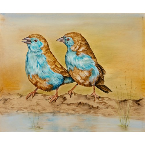 29 - Rose Buric (South African 20th Century) BLUE WAXBILLS