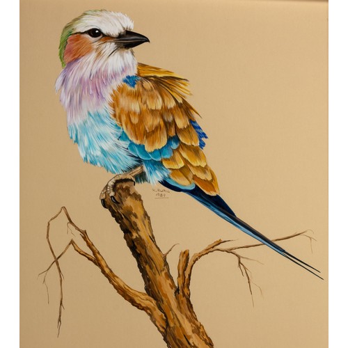 27 - Rose Buric (South African 20th Century) LILAC BREASTED ROLLER