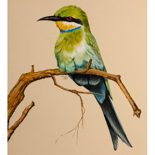 28 - Rose Buric (South African 20th Century) SWALLOW-TAILED BEE-EATER