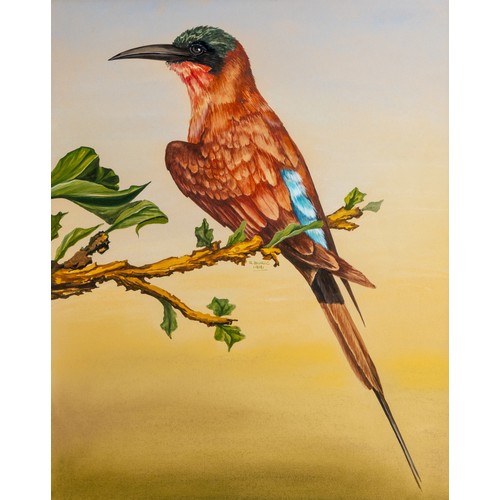 31 - Rose Buric (South African 20th Century) CARMINE BEE-EATER