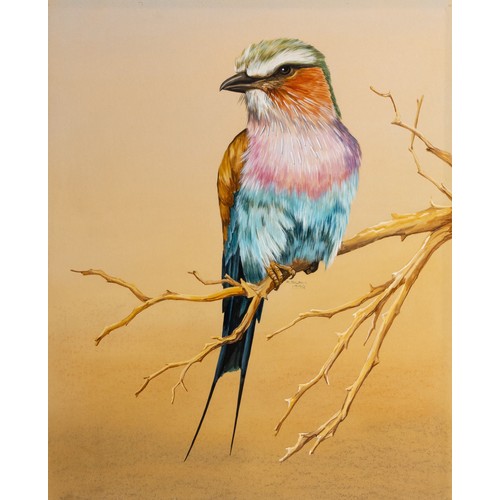 32 - Rose Buric (South African 20th Century) LILAC BREASTED ROLLER