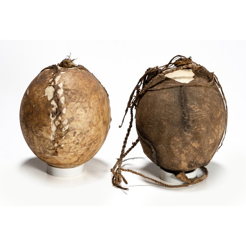 601 - Property of a CollectorTWO LEATHER-BOUND SAN STYLE OSTRICH EGGS