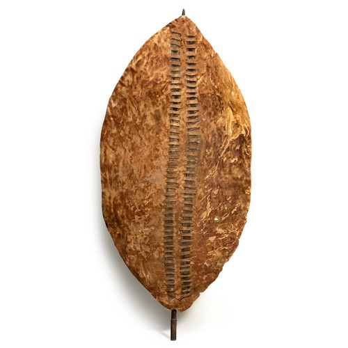 616 - Property of a CollectorA ZULU COWHIDE SHIELD