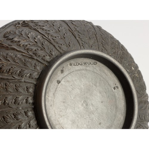 236 - A WEDGWOOD BLACK BASALT ACANTHUS BOWL