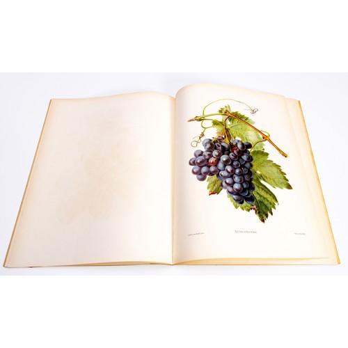 47 - THE FOLIO OF FRUIT by Eva Mannering, illustrations by Carlos Von Riefel