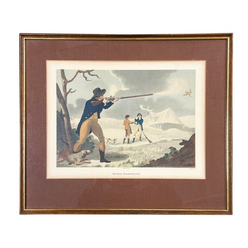 Lot 8         
