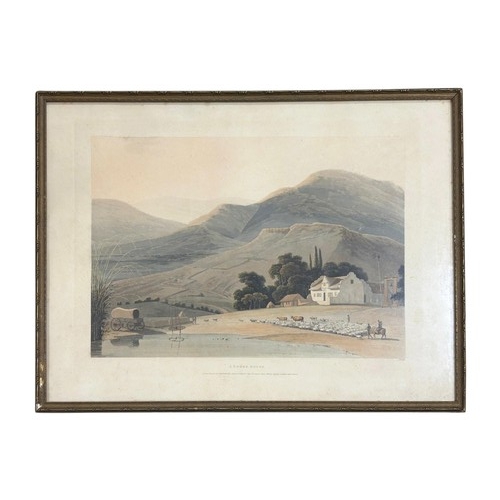 Lot 31        