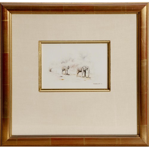 Lot 20        
