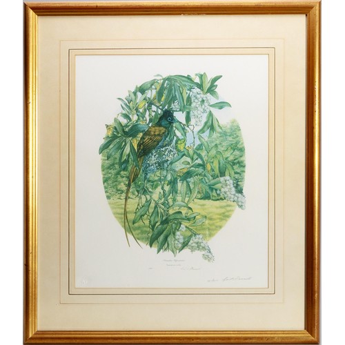 Lot 22        
