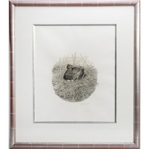 Lot 23        