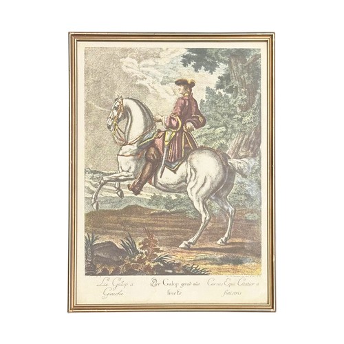 Lot 16        