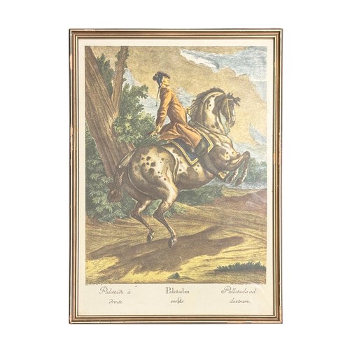 Lot 17        