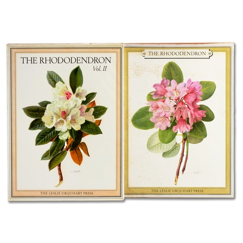 40 - THE RHODODENDRON (2 VOLUMES) by Beryl Leslie Urquhart
