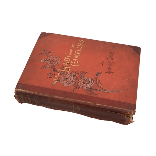 Lot 20        