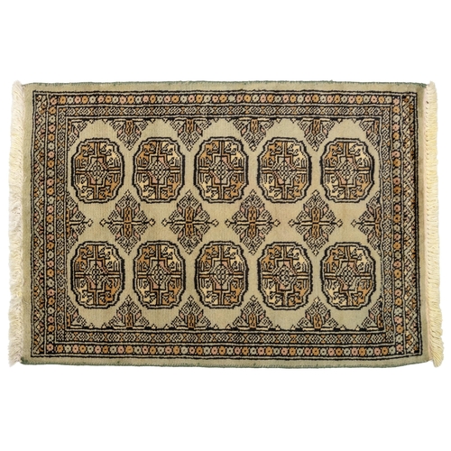 Lot 13        