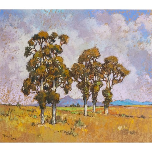 828 - Conrad Nagel Doman Theys (South African 1940-) LANDSCAPE WITH TREES